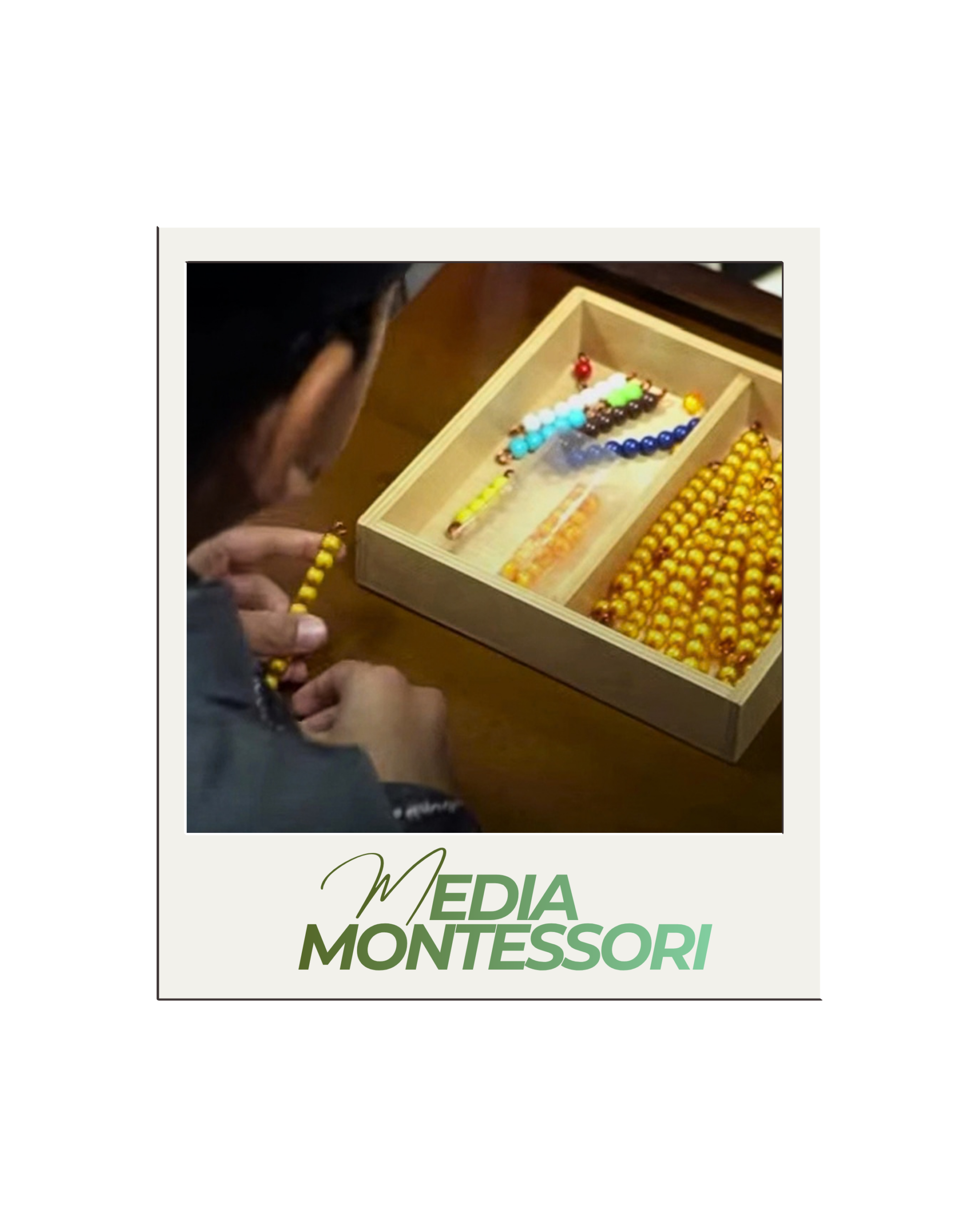 Media Montessori