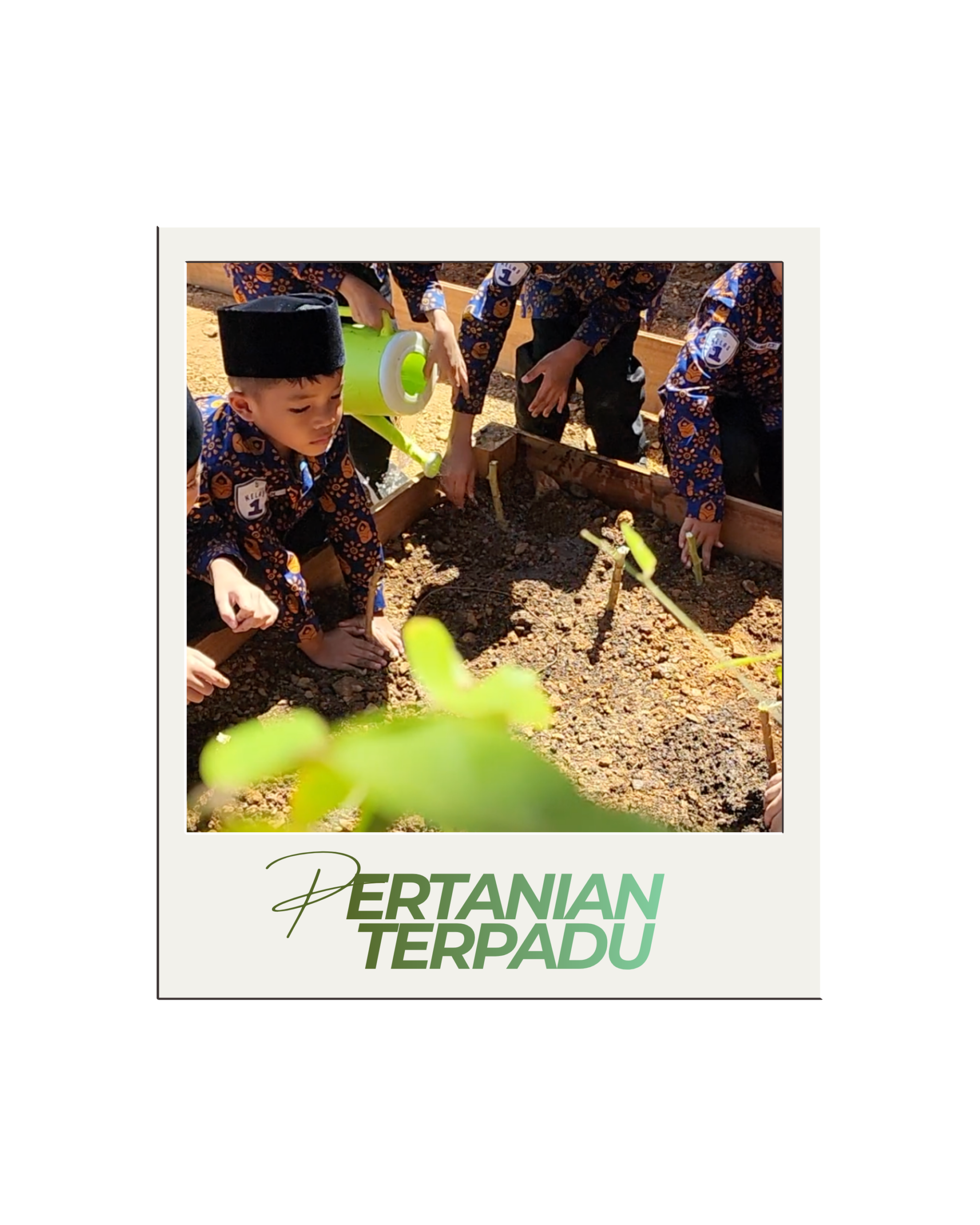 Pertanian Terpadu
